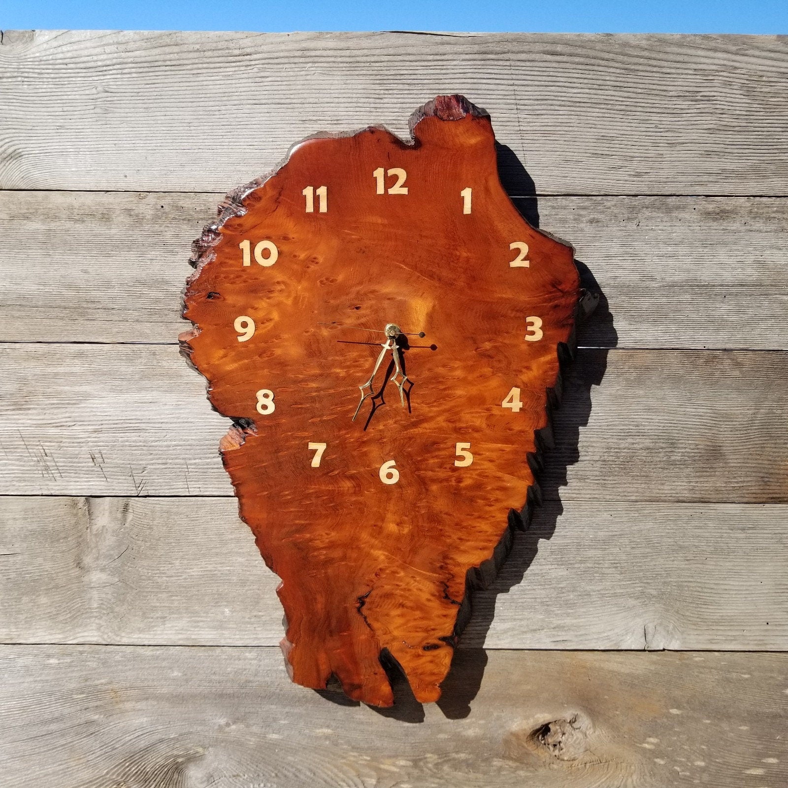 Redwood burl clock wall outlet art