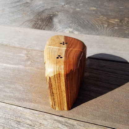 Redwood Salt and Pepper Shakers Set Souvenir California 2 Tone Handmade Rustic Unique Shape Handcrafted Wood Shakers Set #328