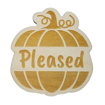 Thanksgiving Place Card Set of 4 - Thanksgiving Place Setting - Thanksgiving Table Decor - Pleased Pumpkin Place Holder