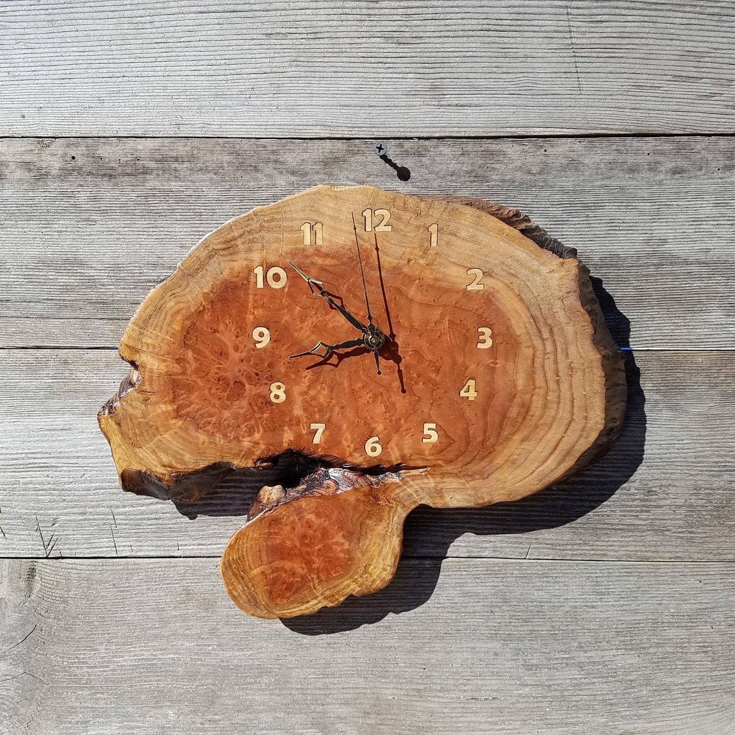 Redwood Clock Handmade Wall Hanging Rustic Burl Live Edge #341 2 Tone Wood Anniversary Gift Wedding Gift One Of a Kind Small Wall Clock