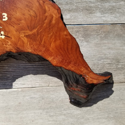 Wood Clock Wall Hanging Redwood Handmade Burl #425 Housewarming Gift Realtor Gift Redwood Burl Wall Clock Small